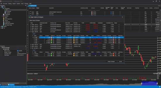 Options trading journal screen